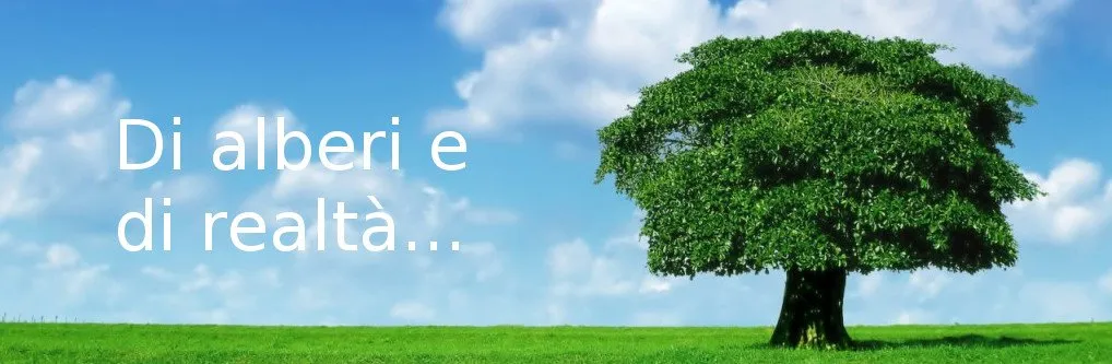albero