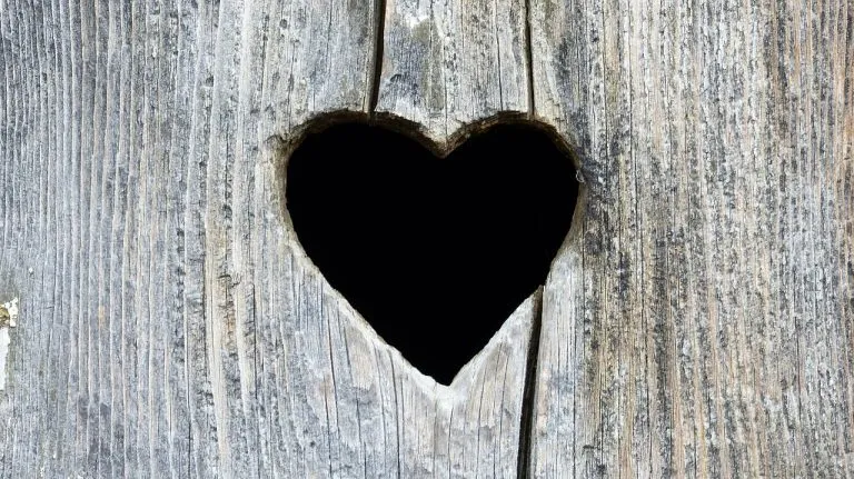Simbolo di un cuore che rappresenta la rinascita emotiva e la riscoperta delle cose che fanno brillare gli occhi