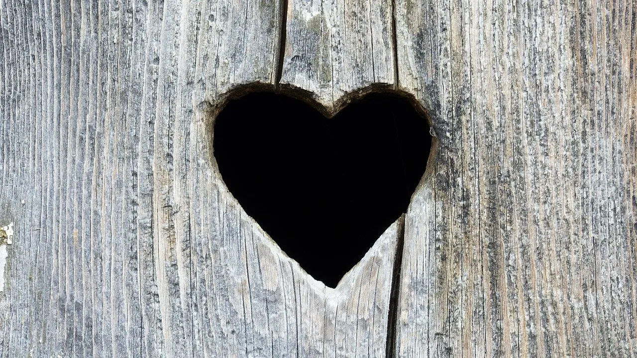 Cuore Simbolo di un cuore che rappresenta la rinascita emotiva e la riscoperta delle cose che fanno brillare gli occhi
